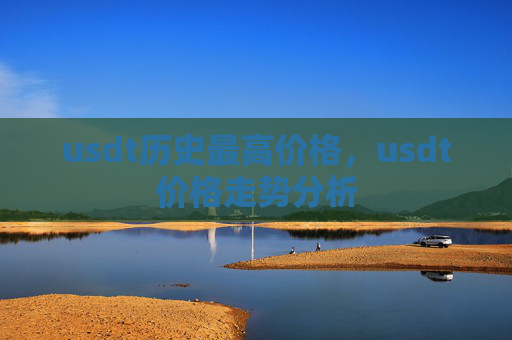 usdt历史最高价格,usdt价格走势分析