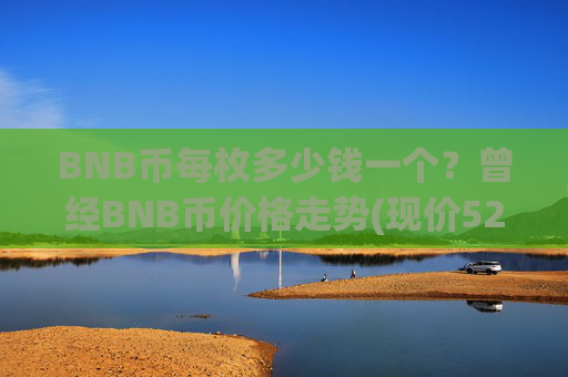 BNB币每枚多少钱一个?曾经BNB币价格走势(现价5294.88元)