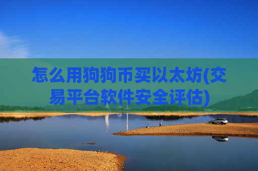 怎么用狗狗币买以太坊(交易平台软件安全评估)