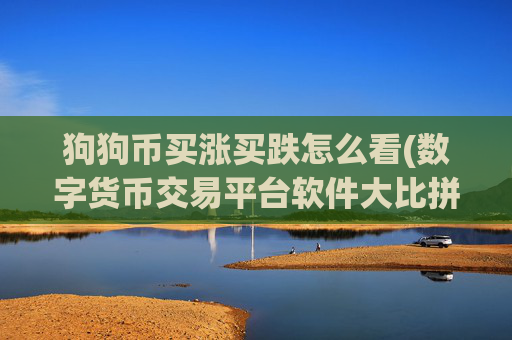 狗狗币买涨买跌怎么看(数字货币交易平台软件大比拼)