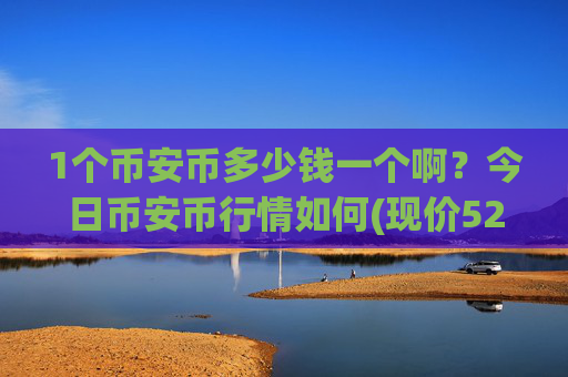 1个币安币多少钱一个啊?今日币安币行情如何(现价5292.91元)