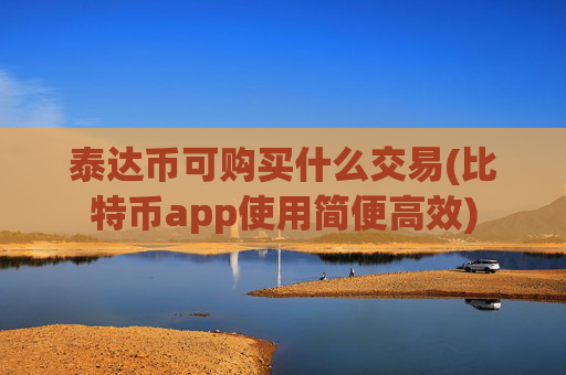 泰达币可购买什么交易(比特币app使用简便高效)