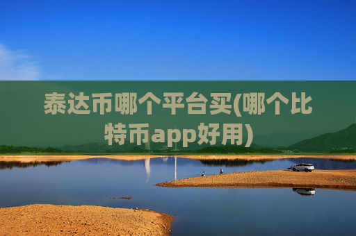 泰达币哪个平台买(哪个比特币app好用)