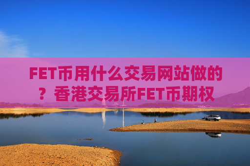 FET币用什么交易网站做的?香港交易所FET币期权