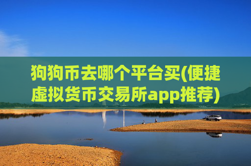 狗狗币去哪个平台买(便捷虚拟货币交易所app推荐)