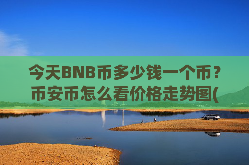 今天BNB币多少钱一个币?币安币怎么看价格走势图(现价5302.49元)