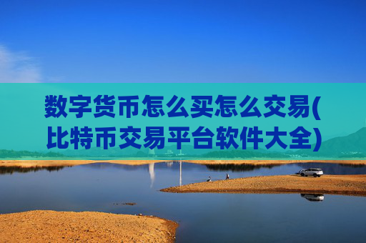 数字货币怎么买怎么交易(比特币交易平台软件大全)