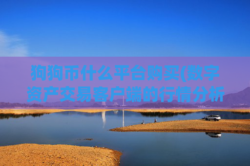 狗狗币什么平台购买(数字资产交易客户端的行情分析)