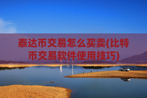 泰达币交易怎么买卖(比特币交易软件使用技巧)