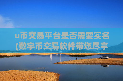 u币交易平台是否需要实名(数字币交易软件带您尽享交易乐趣)