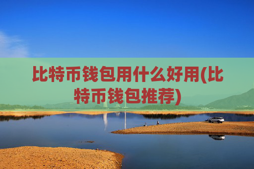 比特币钱包用什么好用(比特币钱包推荐)
