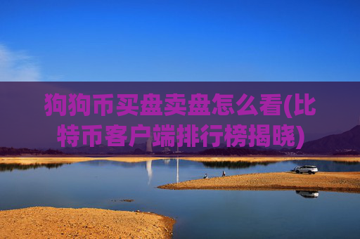 狗狗币买盘卖盘怎么看(比特币客户端排行榜揭晓)