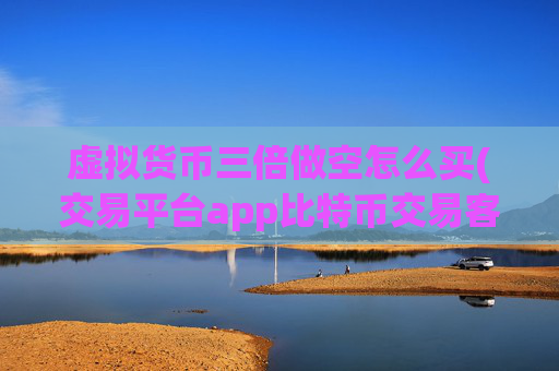 虚拟货币三倍做空怎么买(交易平台app比特币交易客户端)