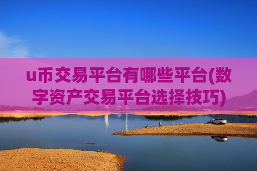 u币交易平台有哪些平台(数字资产交易平台选择技巧)