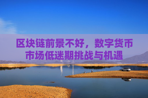区块链前景不好,数字货币市场低迷期挑战与机遇