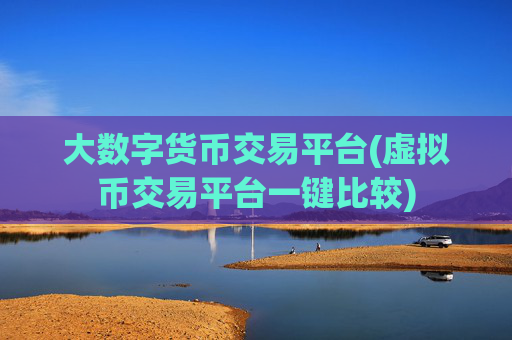 大数字货币交易平台(虚拟币交易平台一键比较)