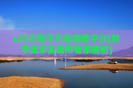 u币交易平台有哪些平台(数字货币交易所专家解析)