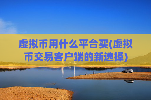 虚拟币用什么平台买(虚拟币交易客户端的新选择)
