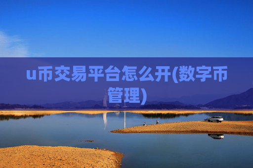 u币交易平台怎么开(数字币管理)