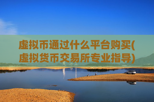 虚拟币通过什么平台购买(虚拟货币交易所专业指导)