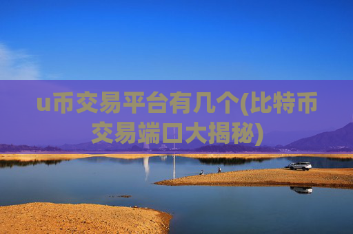 u币交易平台有几个(比特币交易端口大揭秘)