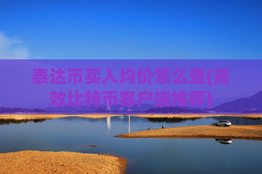 泰达币买入均价怎么查(高效比特币客户端推荐)