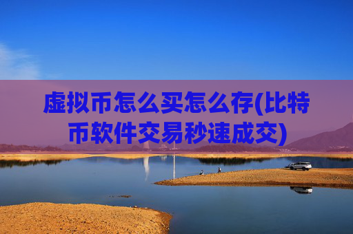 虚拟币怎么买怎么存(比特币软件交易秒速成交)