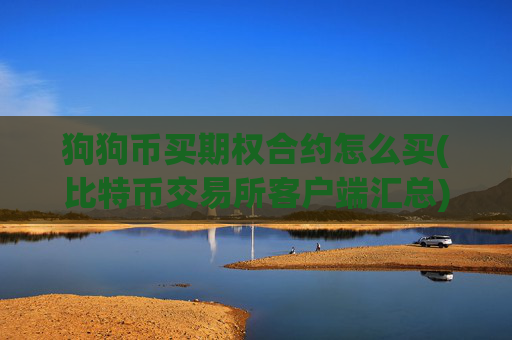 狗狗币买期权合约怎么买(比特币交易所客户端汇总)
