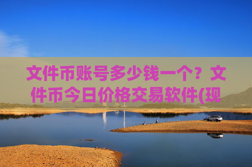 文件币账号多少钱一个?文件币今日价格交易软件(现价35.9395元)