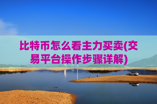 比特币怎么看主力买卖(交易平台操作步骤详解)