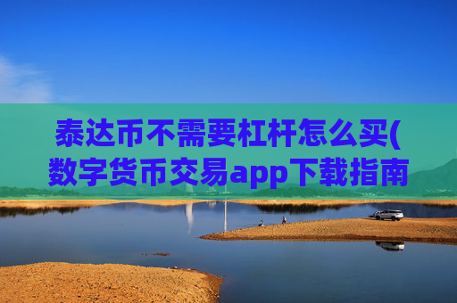 泰达币不需要杠杆怎么买(数字货币交易app下载指南)