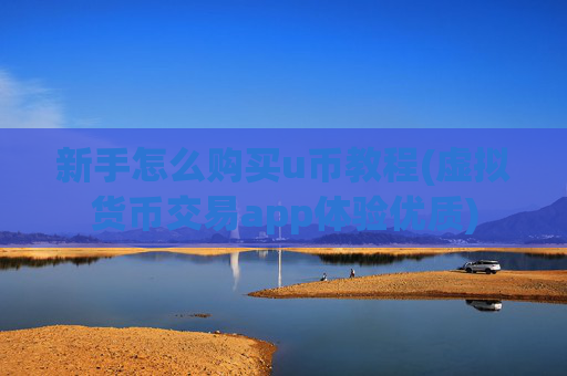 新手怎么购买u币教程(虚拟货币交易app体验优质)
