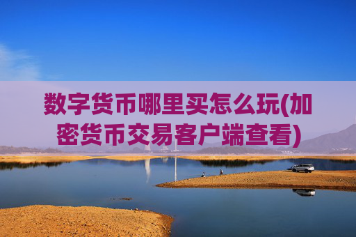 数字货币哪里买怎么玩(加密货币交易客户端查看)