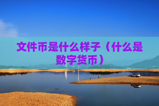 文件币是什么样子(什么是数字货币)