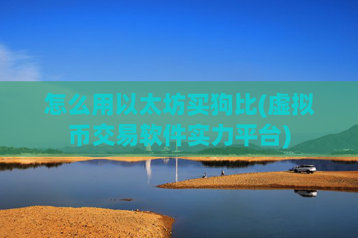 怎么用以太坊买狗比(虚拟币交易软件实力平台)