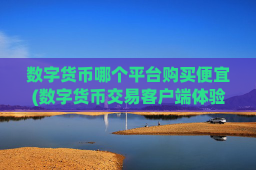 数字货币哪个平台购买便宜(数字货币交易客户端体验分享)