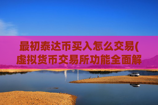 最初泰达币买入怎么交易(虚拟货币交易所功能全面解析)