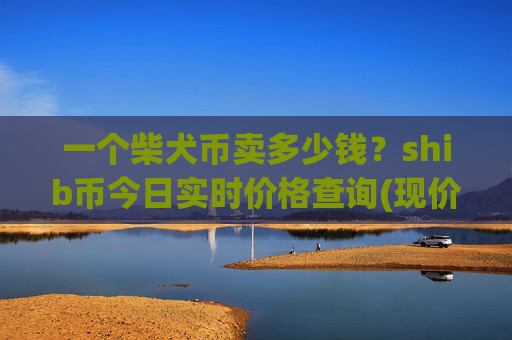 一个柴犬币卖多少钱？shib币今日实时价格查询(现价0.00022934元)