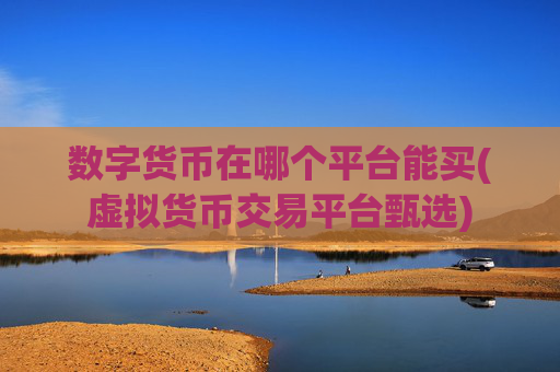 数字货币在哪个平台能买(虚拟货币交易平台甄选)