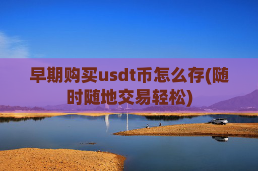 早期购买usdt币怎么存(随时随地交易轻松)