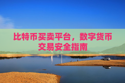 比特币买卖平台，数字货币交易安全指南