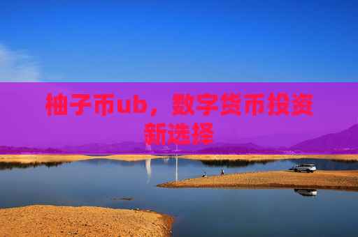 柚子币ub，数字货币投资新选择