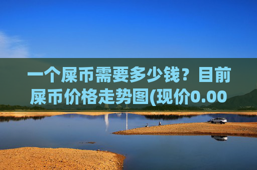 一个屎币需要多少钱？目前屎币价格走势图(现价0.00023157元)