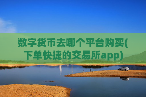 数字货币去哪个平台购买(下单快捷的交易所app)