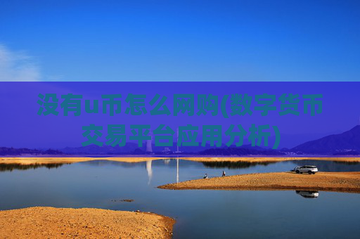 没有u币怎么网购(数字货币交易平台应用分析)