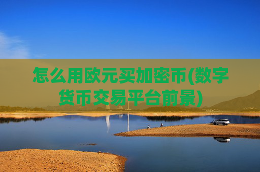 怎么用欧元买加密币(数字货币交易平台前景)