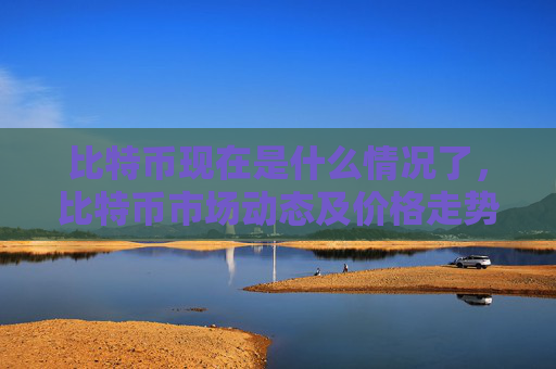 比特币现在是什么情况了，比特币市场动态及价格走势分析