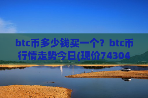 btc币多少钱买一个？btc币行情走势今日(现价743047.32元)