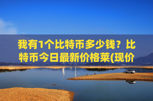 我有1个比特币多少钱?比特币今日最新价格莱(现价748829.99元)