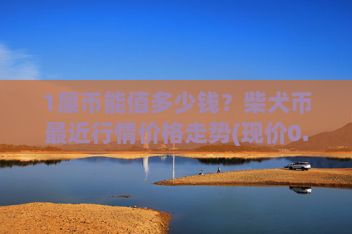 1屎币能值多少钱？柴犬币最近行情价格走势(现价0.00022713元)